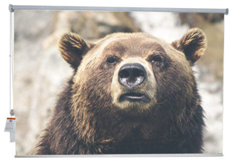 "Bear" Artwork, 6' Shade, Blackout, Left