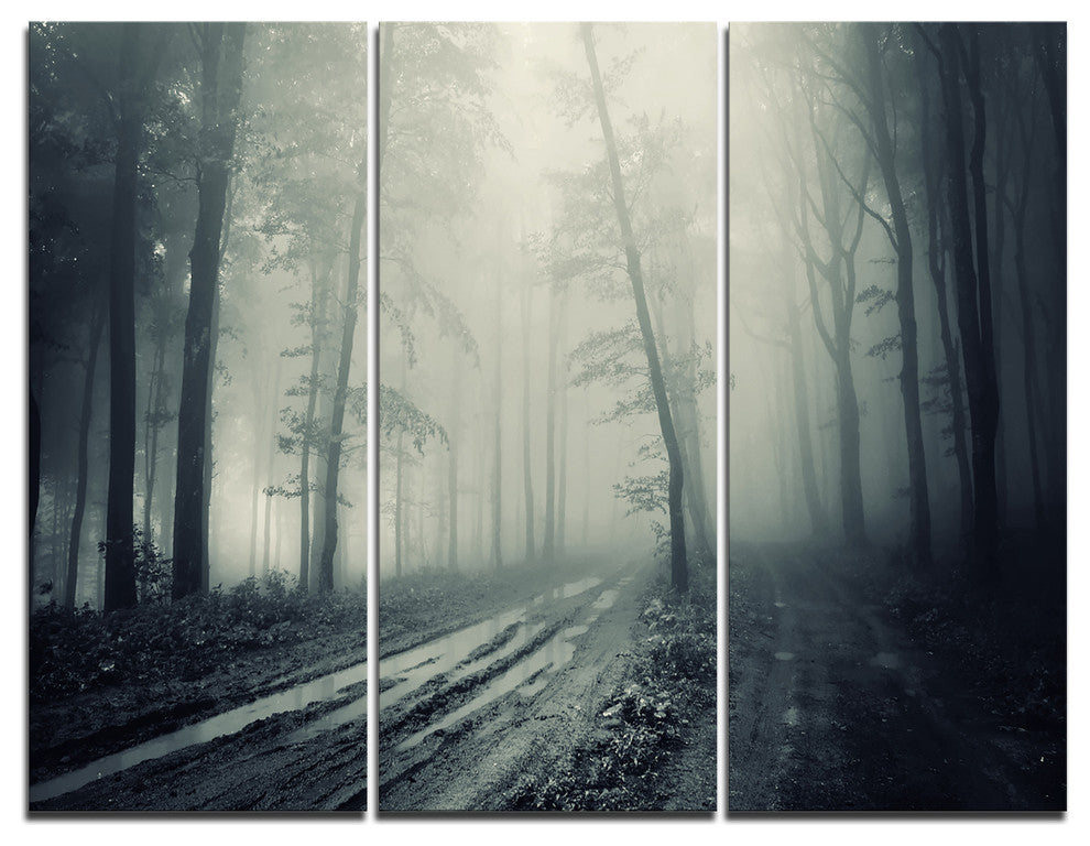 "Spooky Dark Forest With Fog" Photo Canvas Print, 3 Panels, 36"x28"