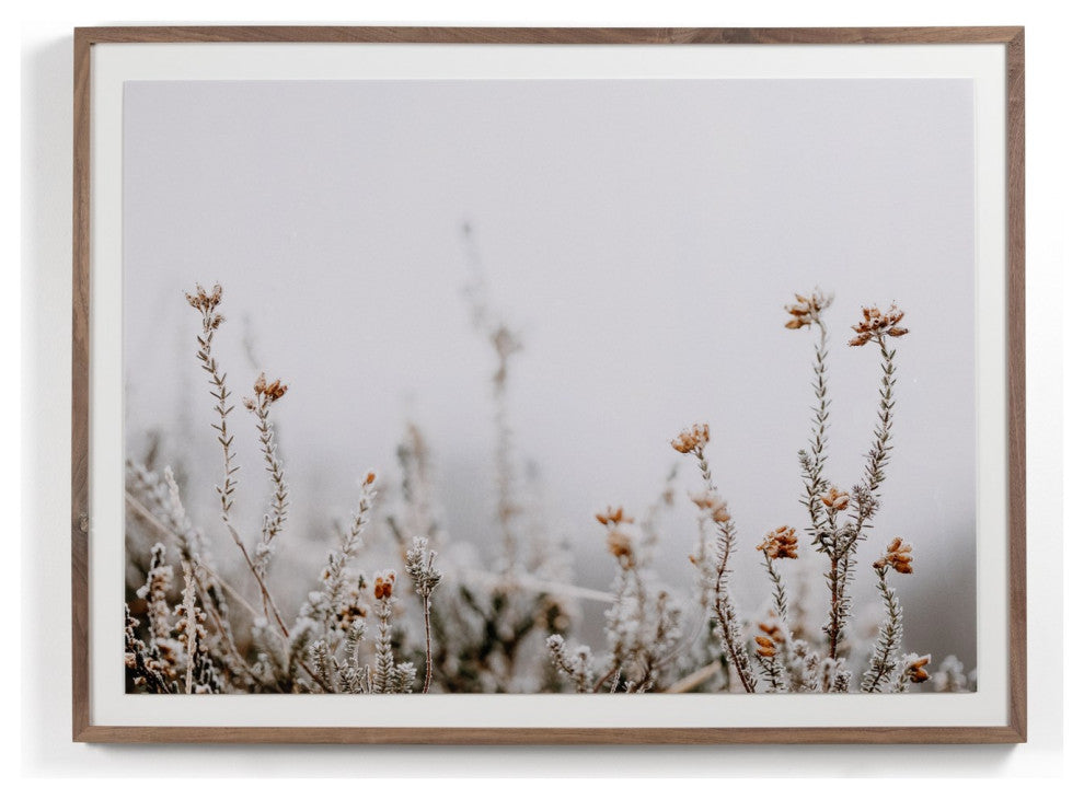 In The Details Ii By Annie Spratt