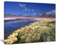 "Colorada Lagoon And Pabellon Volcano" Beach Wall Art, 20"x12"