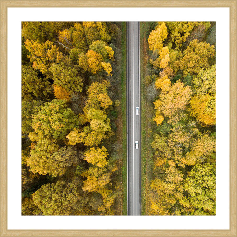 "Nature Road" Framed Print by Karolis Janulis