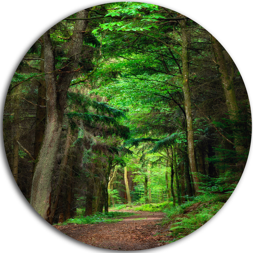 Dreamy Greenery In Dense Forest, Forest Round Wall Art, 11"