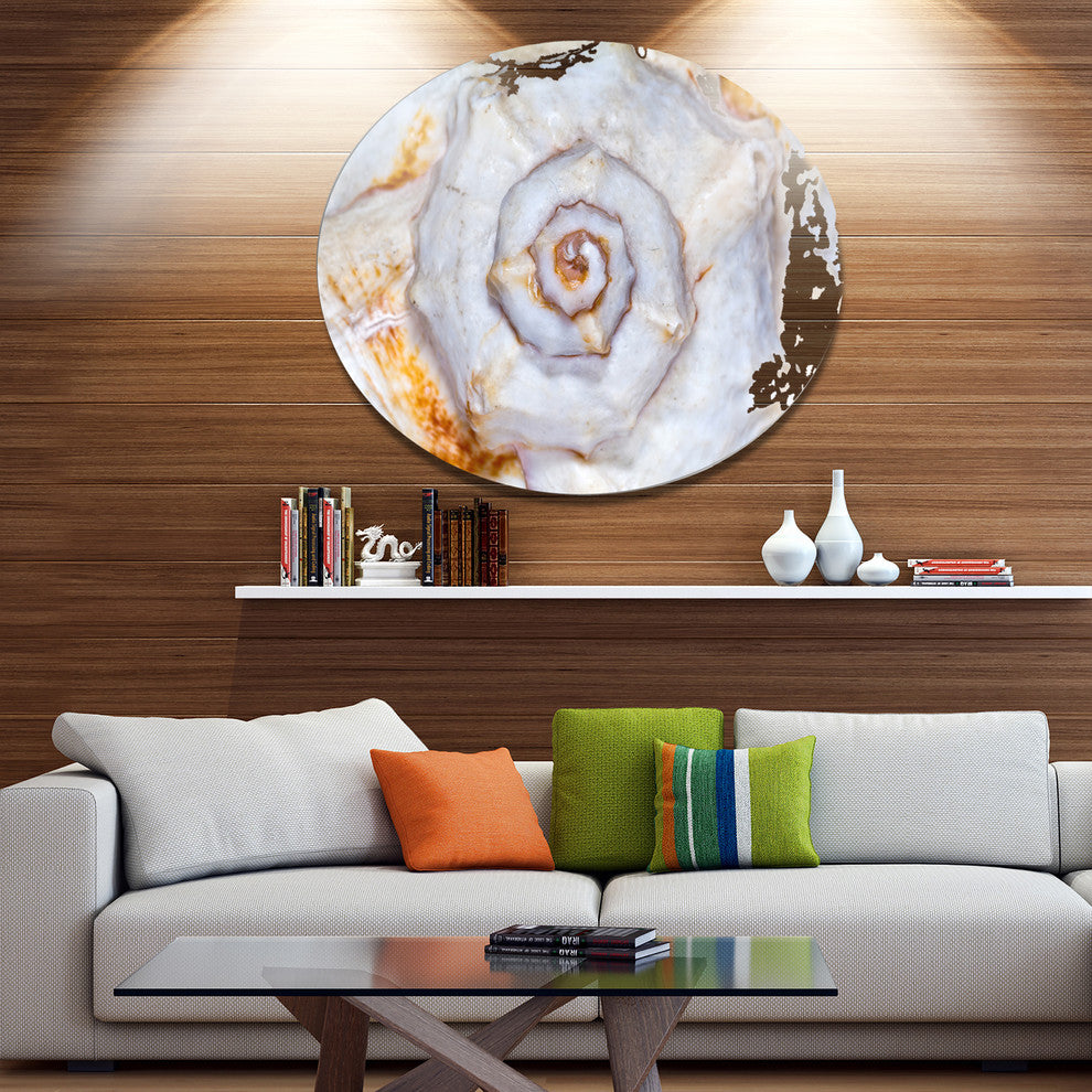 Great Skeleton Of Sea Shell, Animal Large Disc Metal Wall Art, 11"
