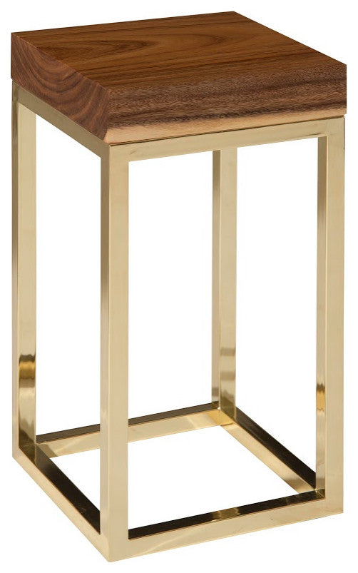 Chamcha Wood End Table, 12", Natural, Square, Plated Brass Base