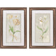 Tulip & Iris Framed Art, 2-Piece Set