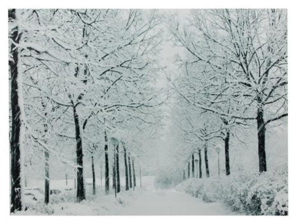 Fiber Optic Lighted Snowfall Winter Lane Christmas Canvas Wall Art