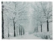 Fiber Optic Lighted Snowfall Winter Lane Christmas Canvas Wall Art