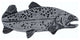 Trout Right Facing Cabinet Knob, 2", Pewter