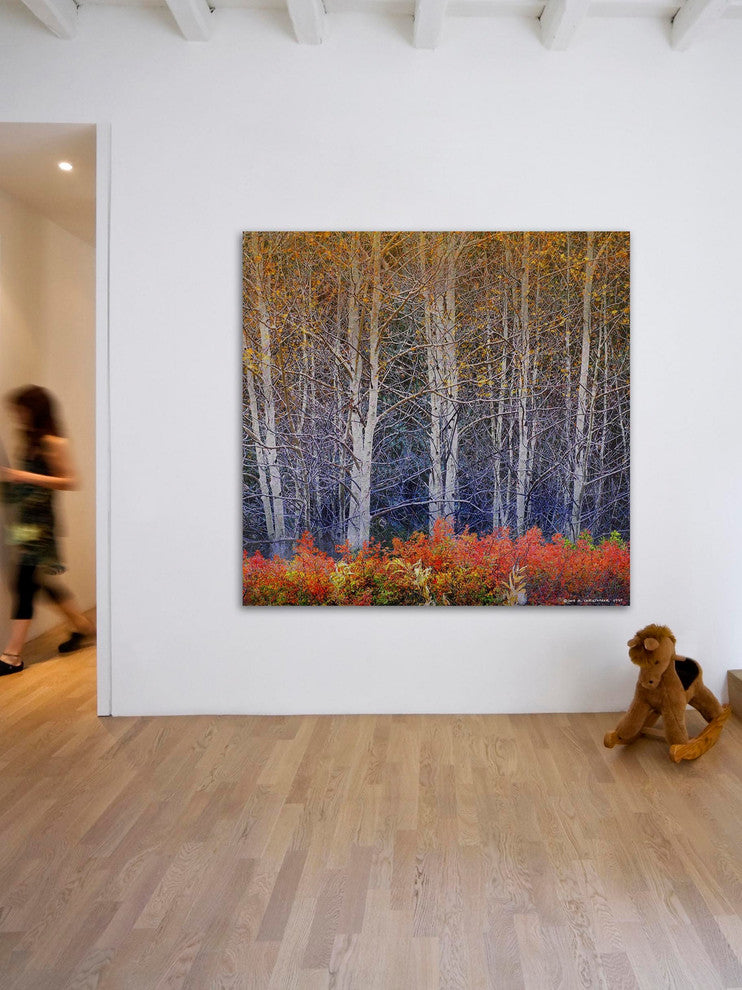 "Aspens and Briar" Painting Print on Canvas by Chris Vest