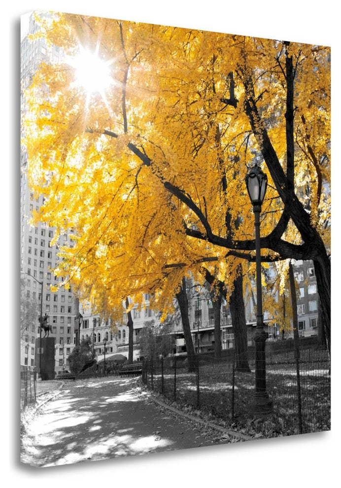 "Park Pretty II" By Assaf Frank, Giclee Print on Gallery Wrap Canvas