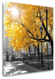 "Park Pretty II" By Assaf Frank, Giclee Print on Gallery Wrap Canvas