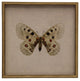 Moth Print 1, Shadowbox