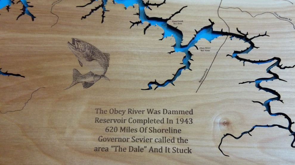 Dale Hollow Lake Kentucky/Tennessee Map, Medium, Framed