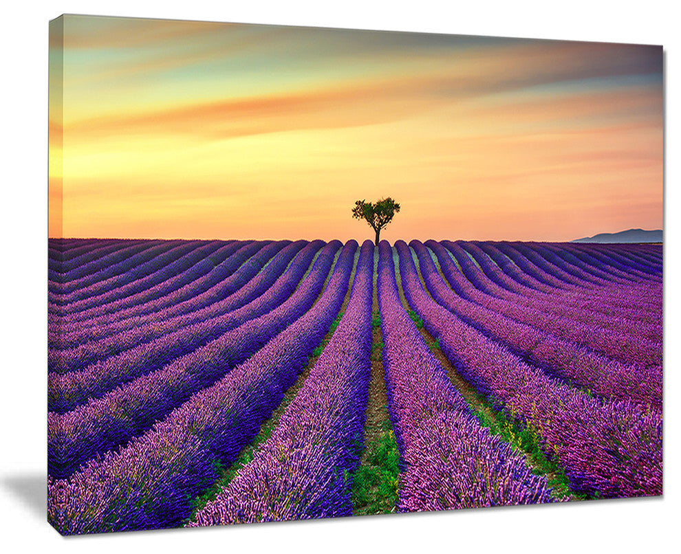 "Lavender Flower Rows in Provence" Landscape Wall Art Print, 40"x30"