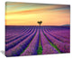 "Lavender Flower Rows in Provence" Landscape Wall Art Print, 40"x30"
