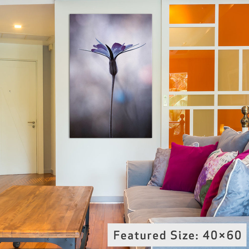 "Sylvidra" by Fabien Bravin, 40x26x1.5