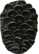 Pinecone Cabinet Knob, Pewter