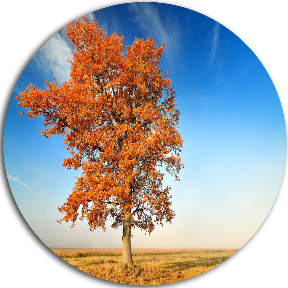 Colorful Lonely Fall Tree, Landscape Photo Round Wall Art, 36"