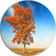 Colorful Lonely Fall Tree, Landscape Photo Round Wall Art, 36"