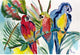 Betsy Drake Parrot Family 30 Inch By 50 Inch Comfort Floor Mat