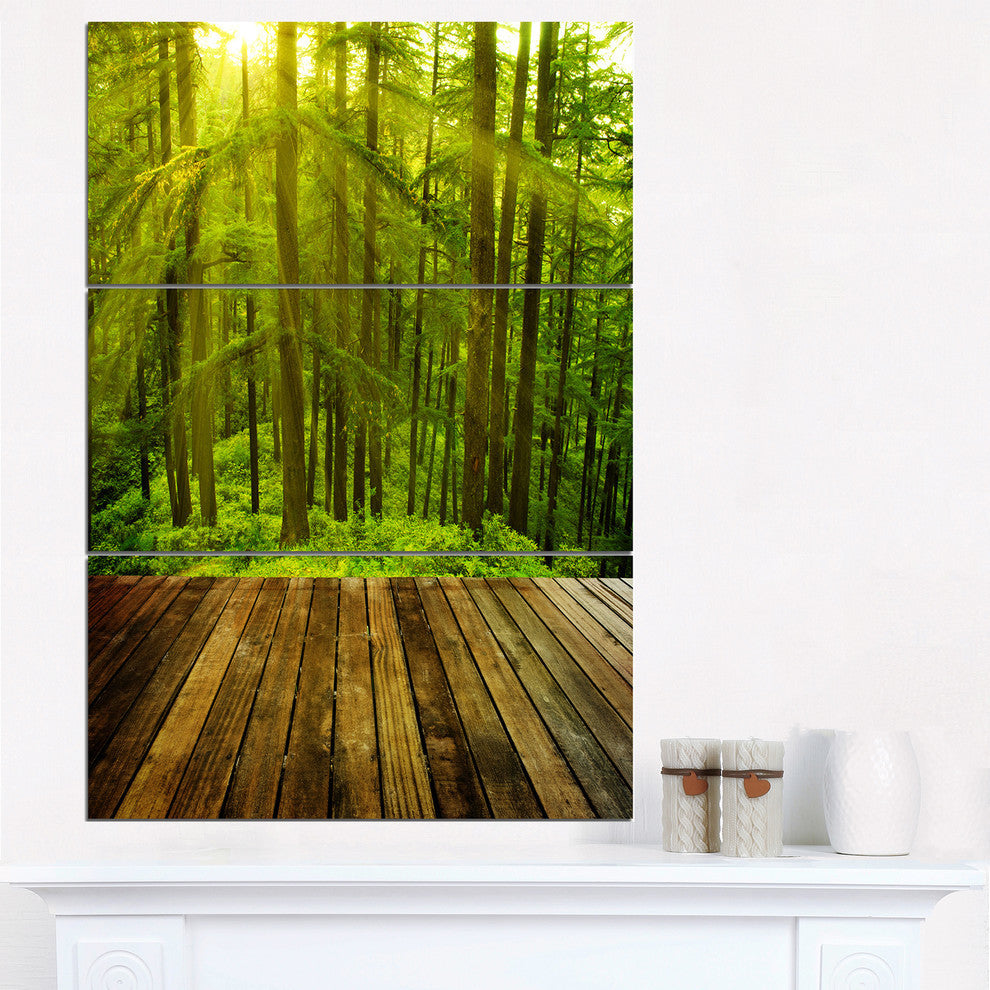 "Golden Sunlight in Pine Forest" Photo Metal Wall Art, 3 Panels, 28"x36"