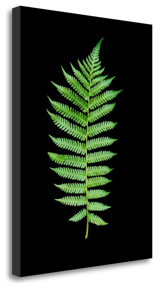 "Floral Color - 19" By Alan Blaustein, Giclee Print on Gallery Wrap Canvas