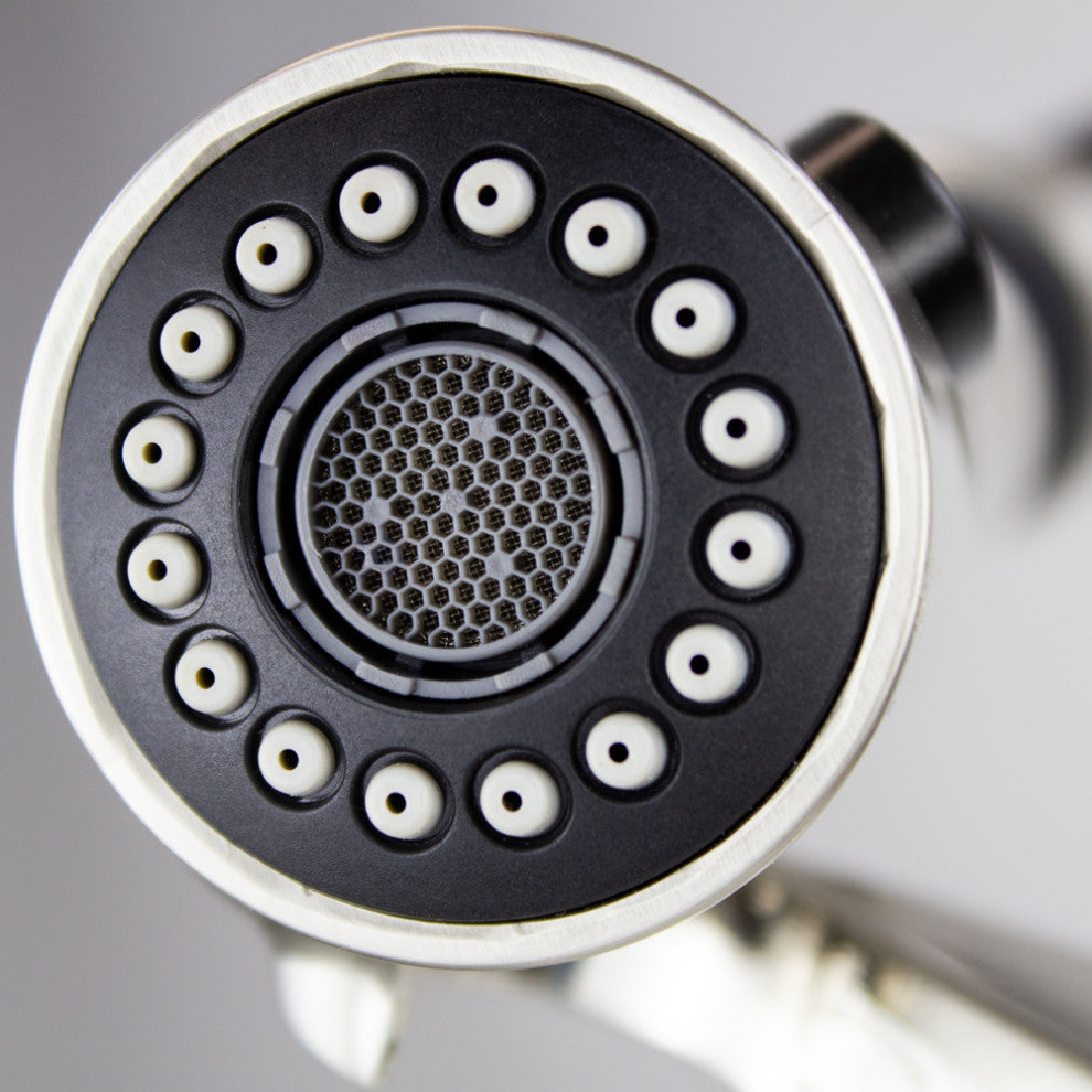 Transolid Organix Pull-Out Kitchen Faucet, Luxe Stainless