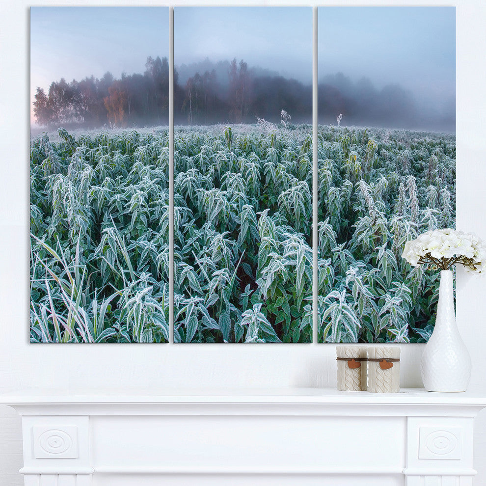 "Frozen Hemp Field in Autumn Morning" Metal Wall Art, 3 Panels, 36"x28"