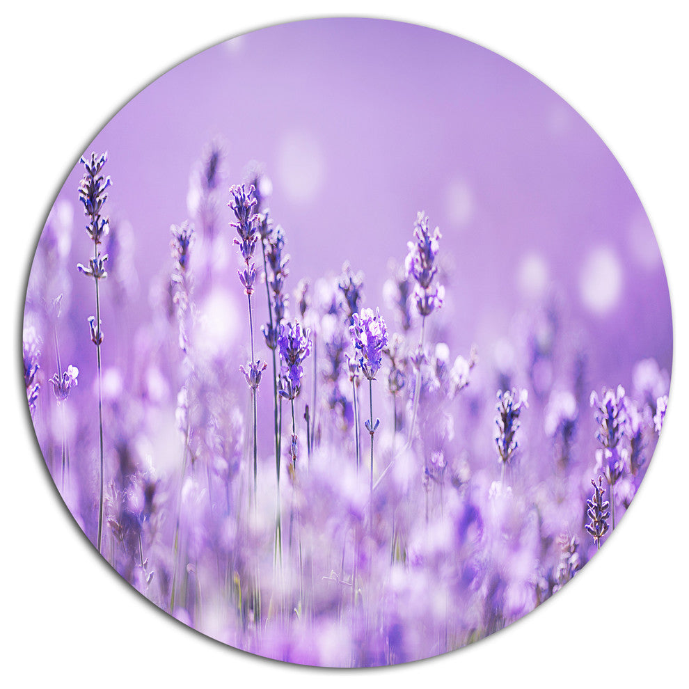 Stunning Purple Lavender Field, Landscape Round Wall Art, 11"