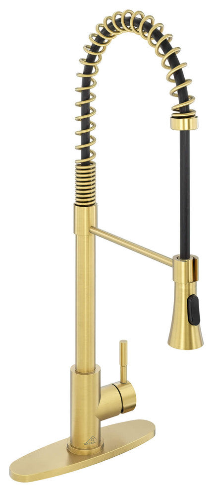 Kitchen Faucet Spring Pull Down Sprayer Dual-Function Spray Head Brushed Gold