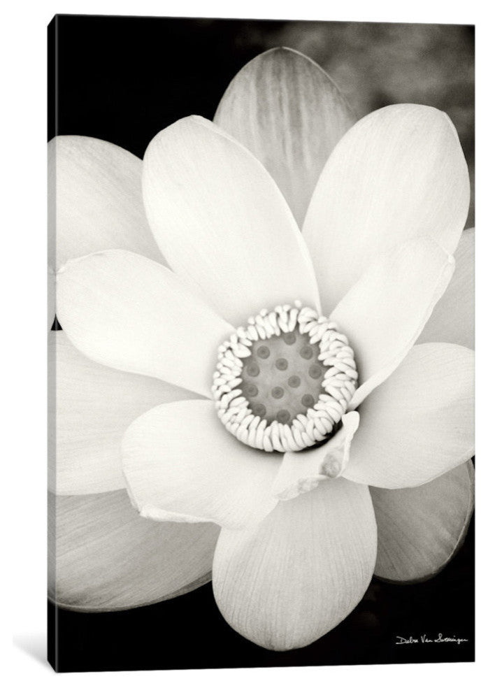 "Lotus Flower III" by Debra von Swearingen, 40x26x1.5