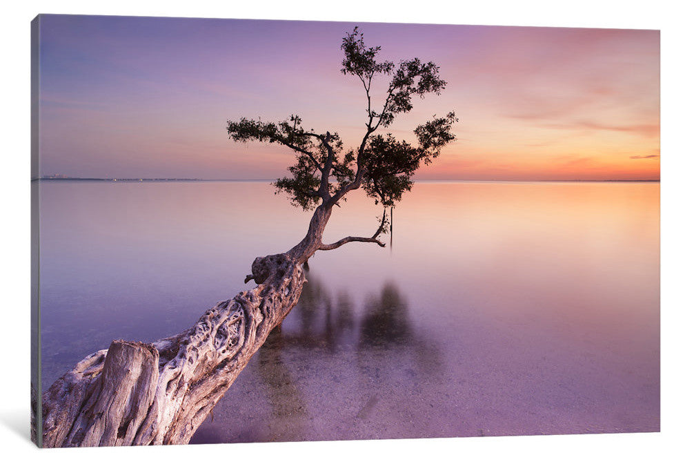 "Water Tree XI Gallery" by Moises Levy, 40x26x1.5"