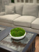 Natural Moss In White Bowl