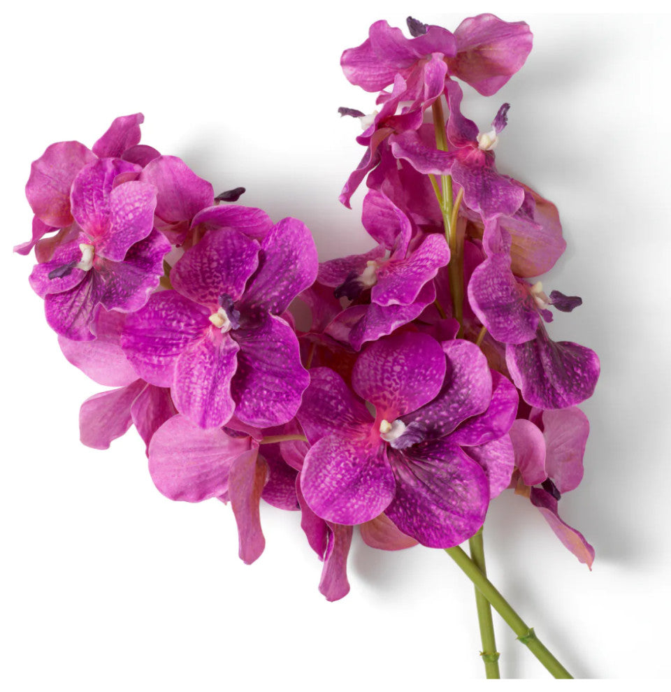 Artificial Orchids Bouquet, 24-Pieces, Eichholtz Vanda, Fuchsia