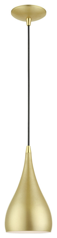 Amador 1 Light Soft Gold With Polished Brass Accents Mini Pendant