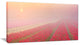 "Sunrise Over Rows of Tulips" Landscape Wall Art Canvas Print, 1 Panel, 60"x28"