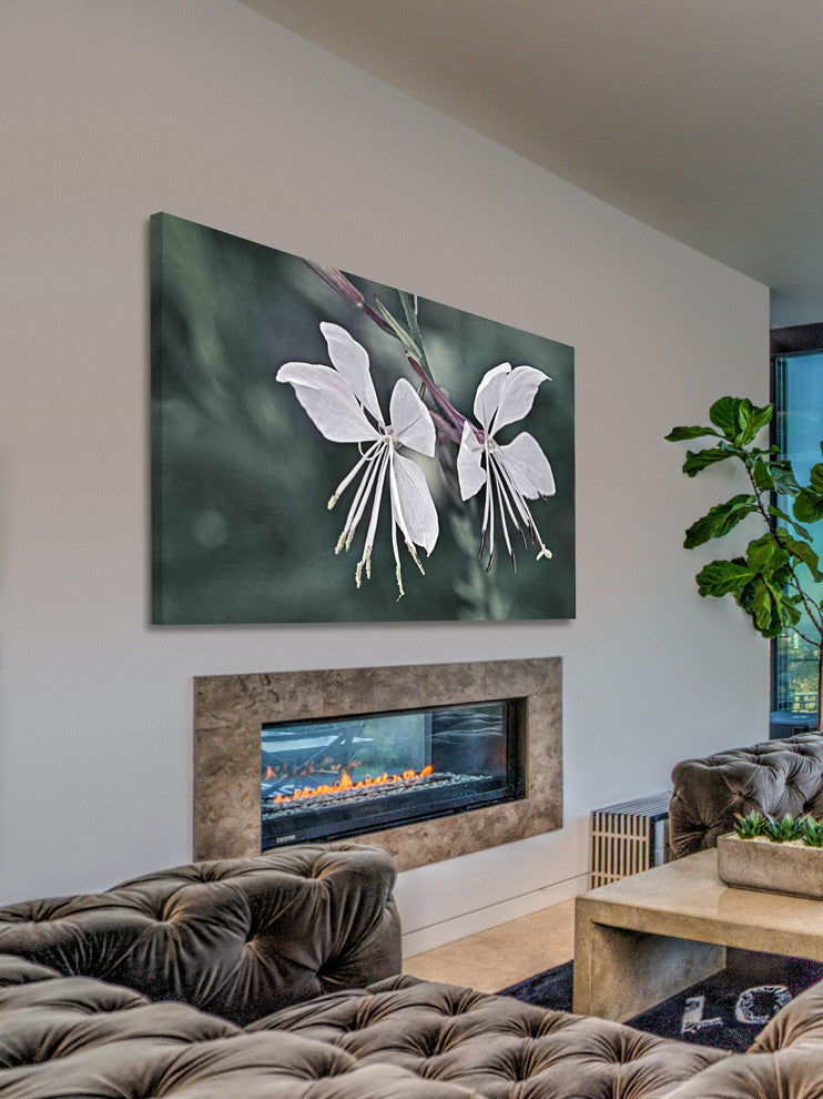 "Wonderful Whites" Painting Print on Canvas by Robertson