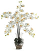 Phalaenopsis Liquid Illusion Silk Flower Arrangement, Cream