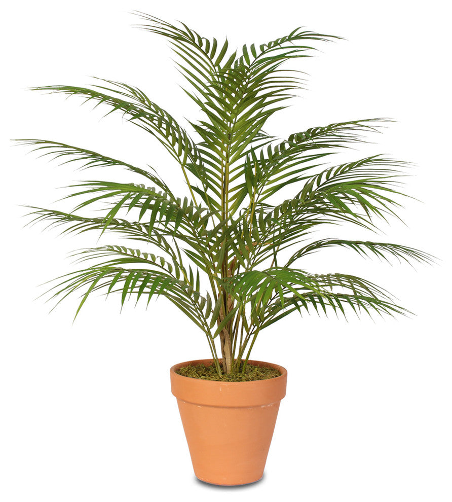 Real Touch Artificial Areca Palm Plant in a Small Clay Pot