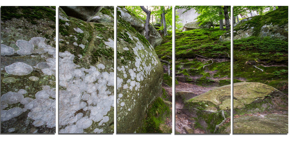 "Large Rocks in Deep Moss Forest" Landscape Art Print Canvas, 5 Panels, 60"x28"