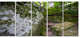 "Large Rocks in Deep Moss Forest" Landscape Art Print Canvas, 5 Panels, 60"x28"
