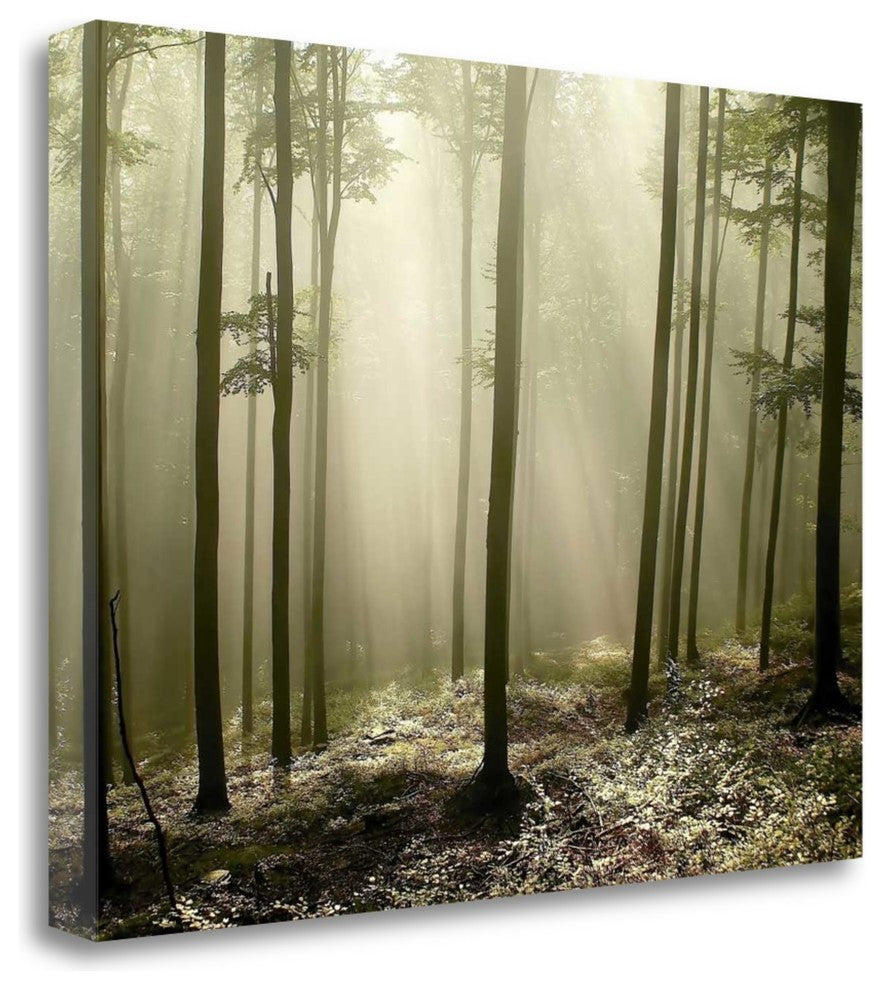 "Green Works" By Photoinc Studio, Giclee Print on Gallery Wrap Canvas
