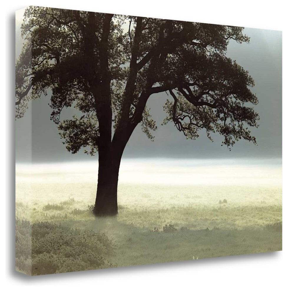 "Enlighten Me" By Assaf Frank,Ready to Hang Giclee Print on Gallery Wrap Canvas