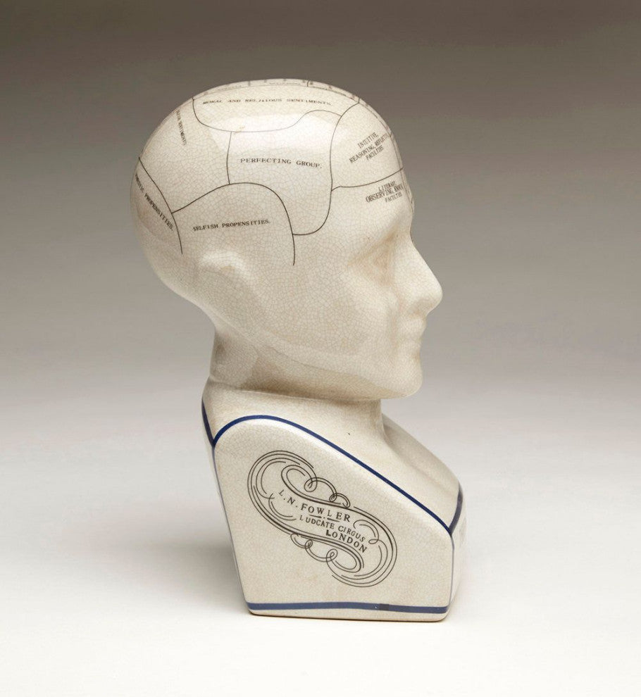 Crackle Ceramic Phrenology Bust, White