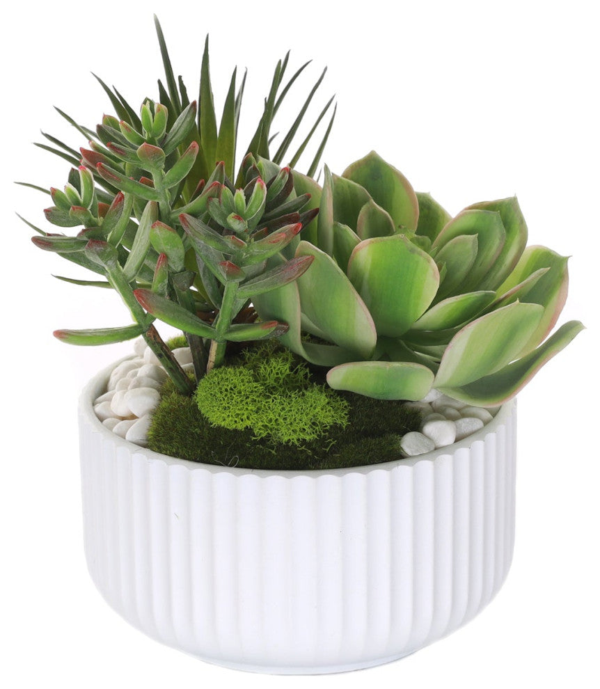 Succulents Arrangement With White Rocks, White Pot