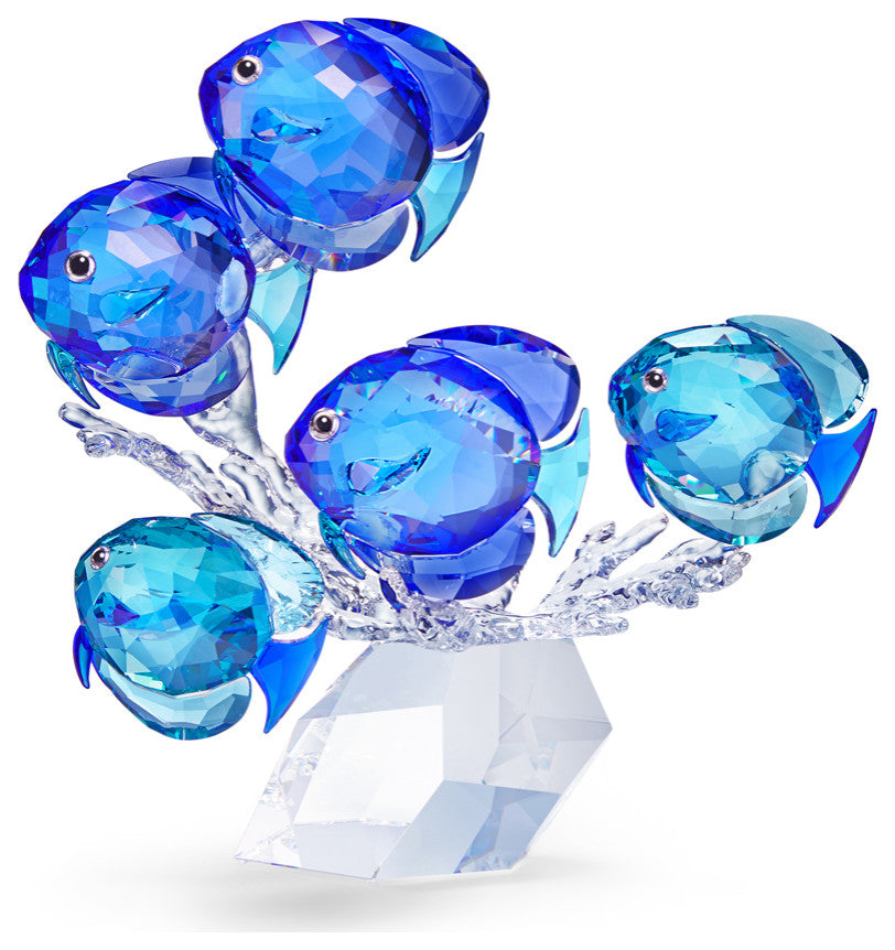 Swarovski School of Fish