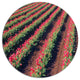 Beautiful Field Of Red Tulip Flowers, Landscape Round Artwork, 11"