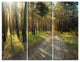 "Road Through Green Pine Forest" Photo Canvas Print, 3 Panels, 36"x28"