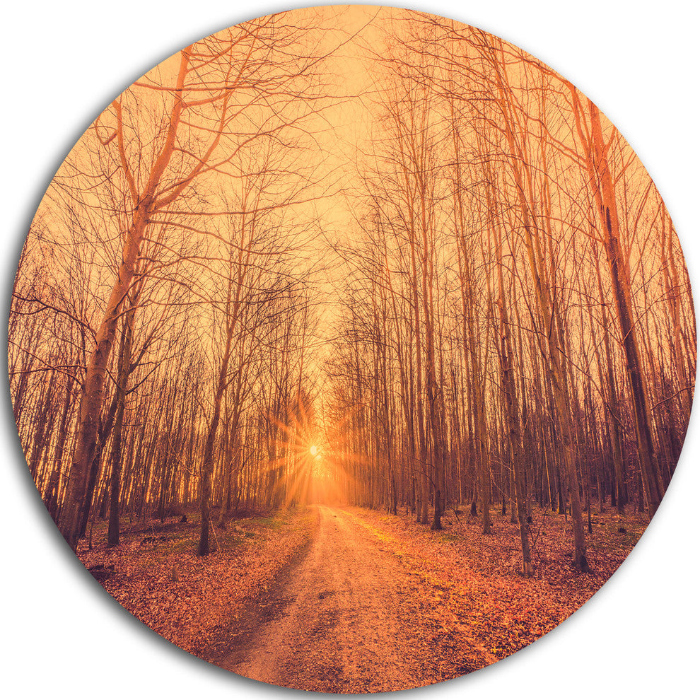 Forest Road Into Sunrise, Landscape Photography Round Wall Art, 11"
