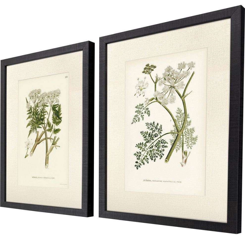 Queen's Lace I Framed Art, 2-Piece Set